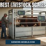Best Livestock Scales