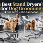 Best Stand Dryers for Dog Grooming