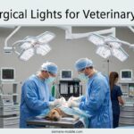 Best Surgical Lights for Veterinary Clinics