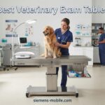 Best Veterinary Exam Tables