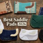 best saddle pads