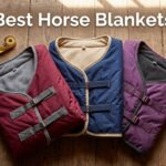 best horse blankets