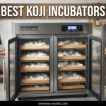 best koji incubators
