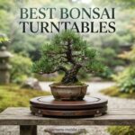 best bonsai turntables