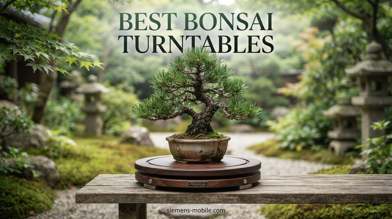 best bonsai turntables