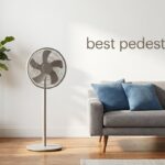 best pedestal fans