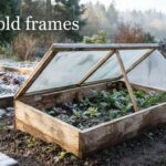 best cold frames