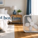 best box fans