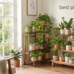 best plant stands