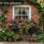 best window box planters