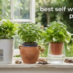 best self watering planters