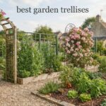best garden trellises