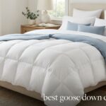 best goose down comforters