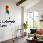 best cobweb dusters