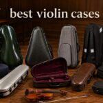 best violin cases