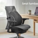best lumbar support cushions