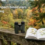 best compact binoculars for birding