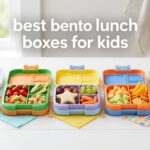 best bento lunch boxes for kids