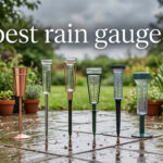 best rain gauges