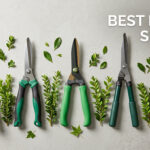 best hedge shears