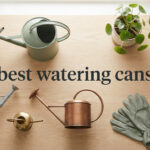 best watering cans