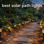 best solar path lights