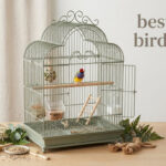 best large bird cages