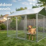 best outdoor dog kennels