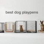 best dog playpens