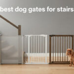 best dog gates for stairs