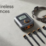 best wireless dog fences