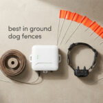 best in ground dog fences