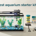 best aquarium starter kits