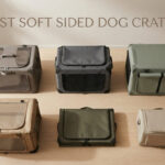 best soft sided dog crates