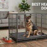 best heavy duty dog crates