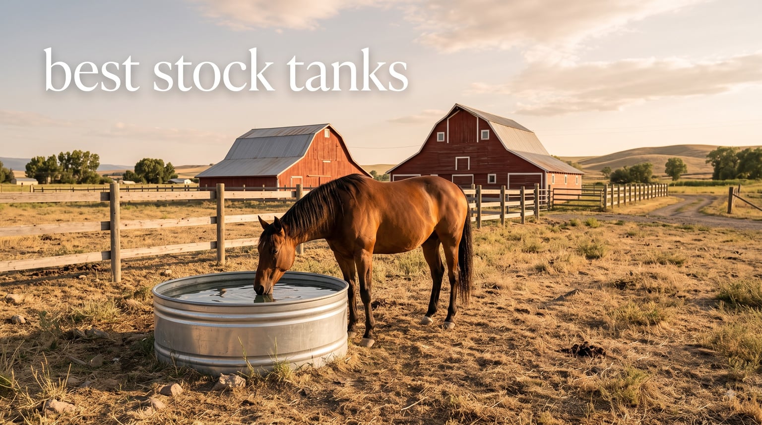 best stock tanks