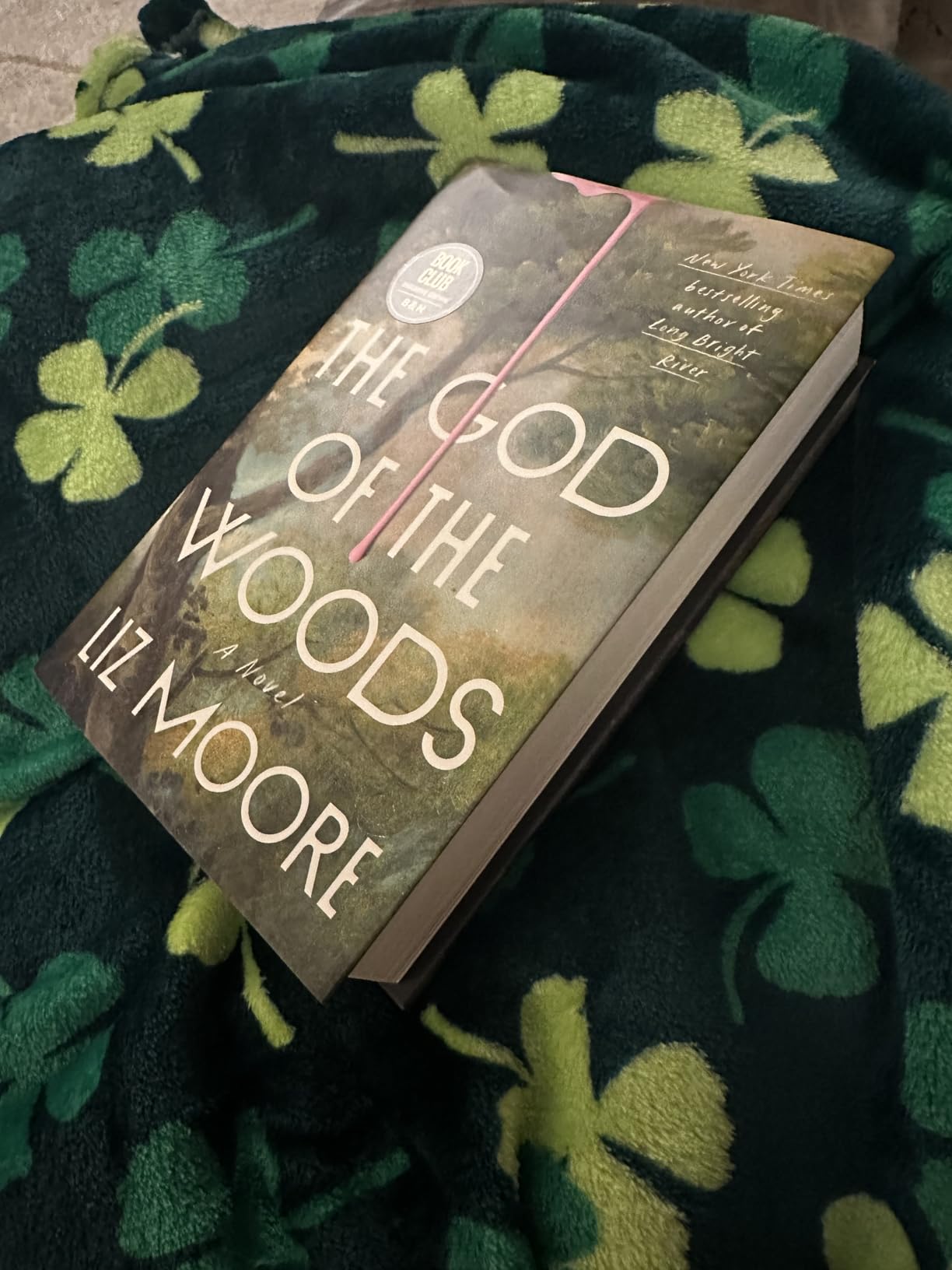 The God of the Woods: A Novel customer photo 1