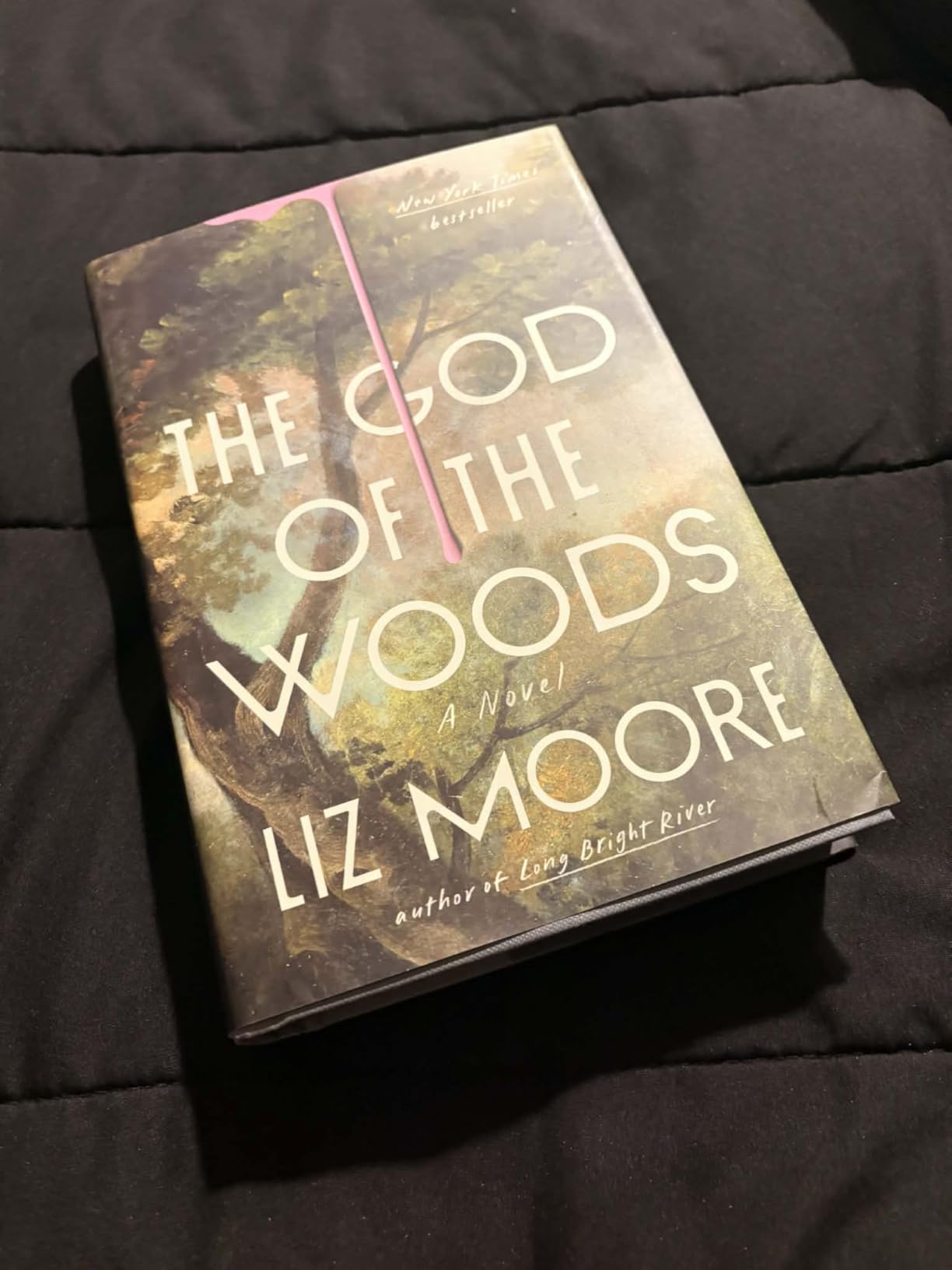 The God of the Woods: A Novel customer photo 2