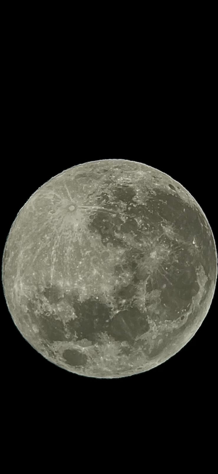 Celestron Moon Filter for Telescopes - Fits Most 1.25