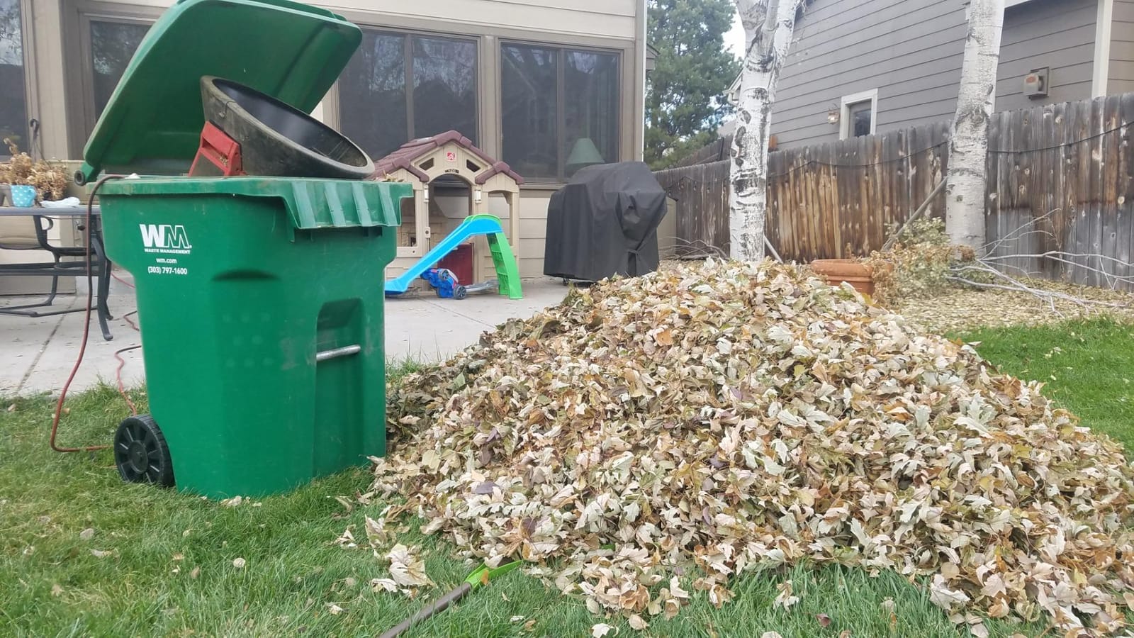 Flowtron Electric Leaf Mulcher and Shredder, 30:1 Ratio, 21 in Funnel | Plug-in yard tool for wet or dry leaves, grass, and pine needles - adjustable coarseness for bagging or lawn spreading customer photo 1