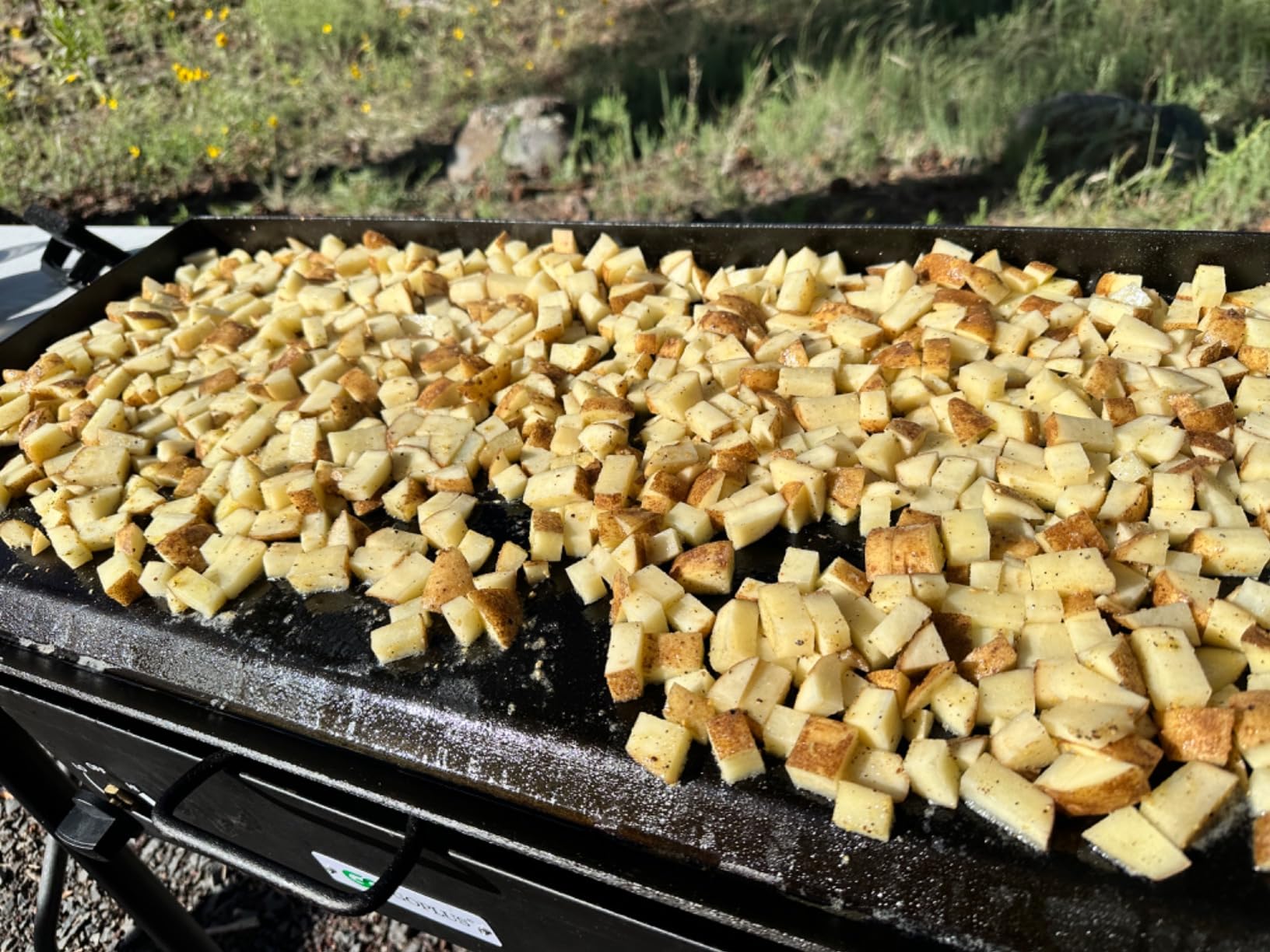 Camp Chef Professional Fry Griddle, 14