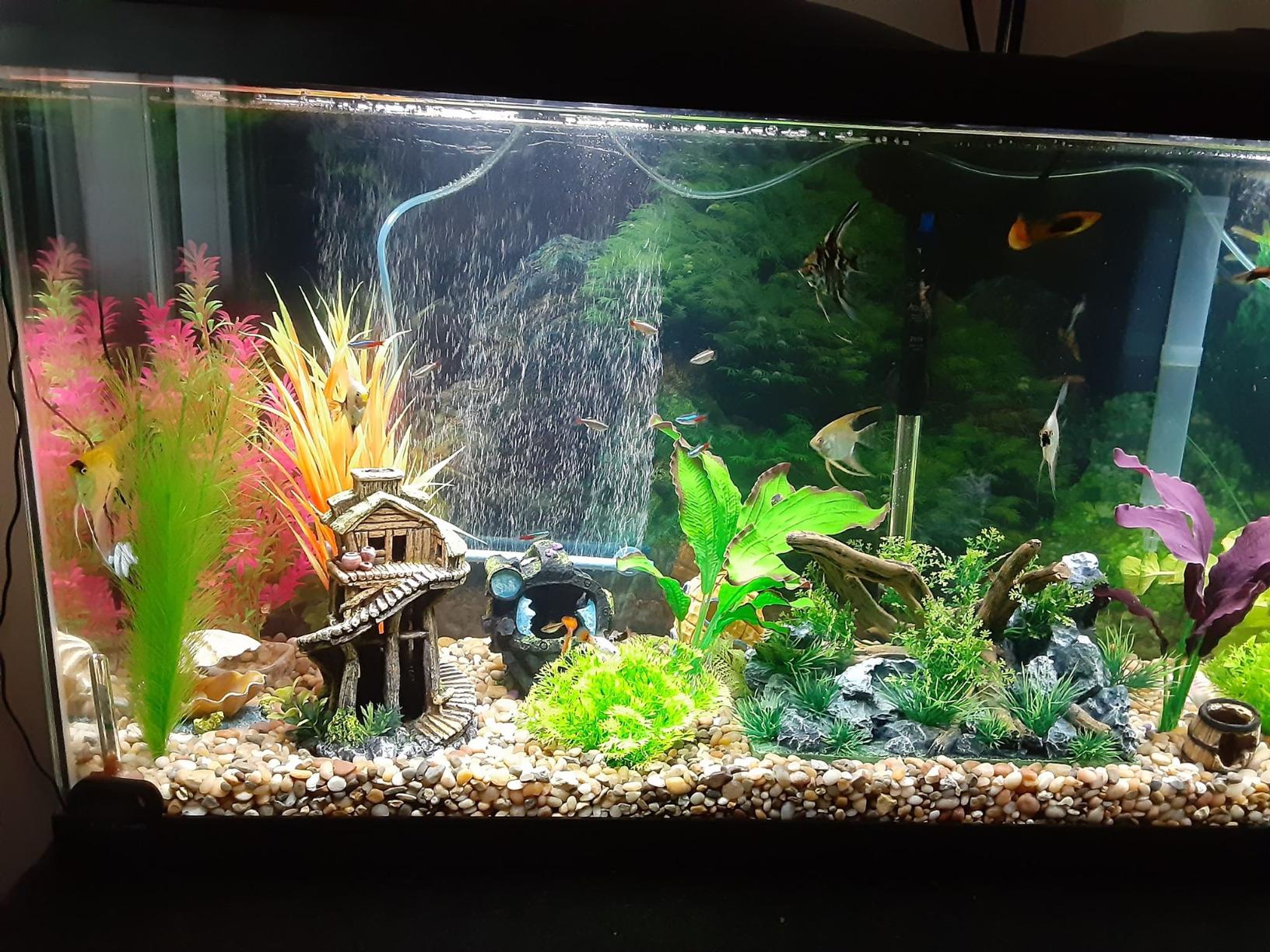 AquaClear 110 Power Filter, Fish Tank Filter for 60- to 110-Gallon Aquariums customer photo 2