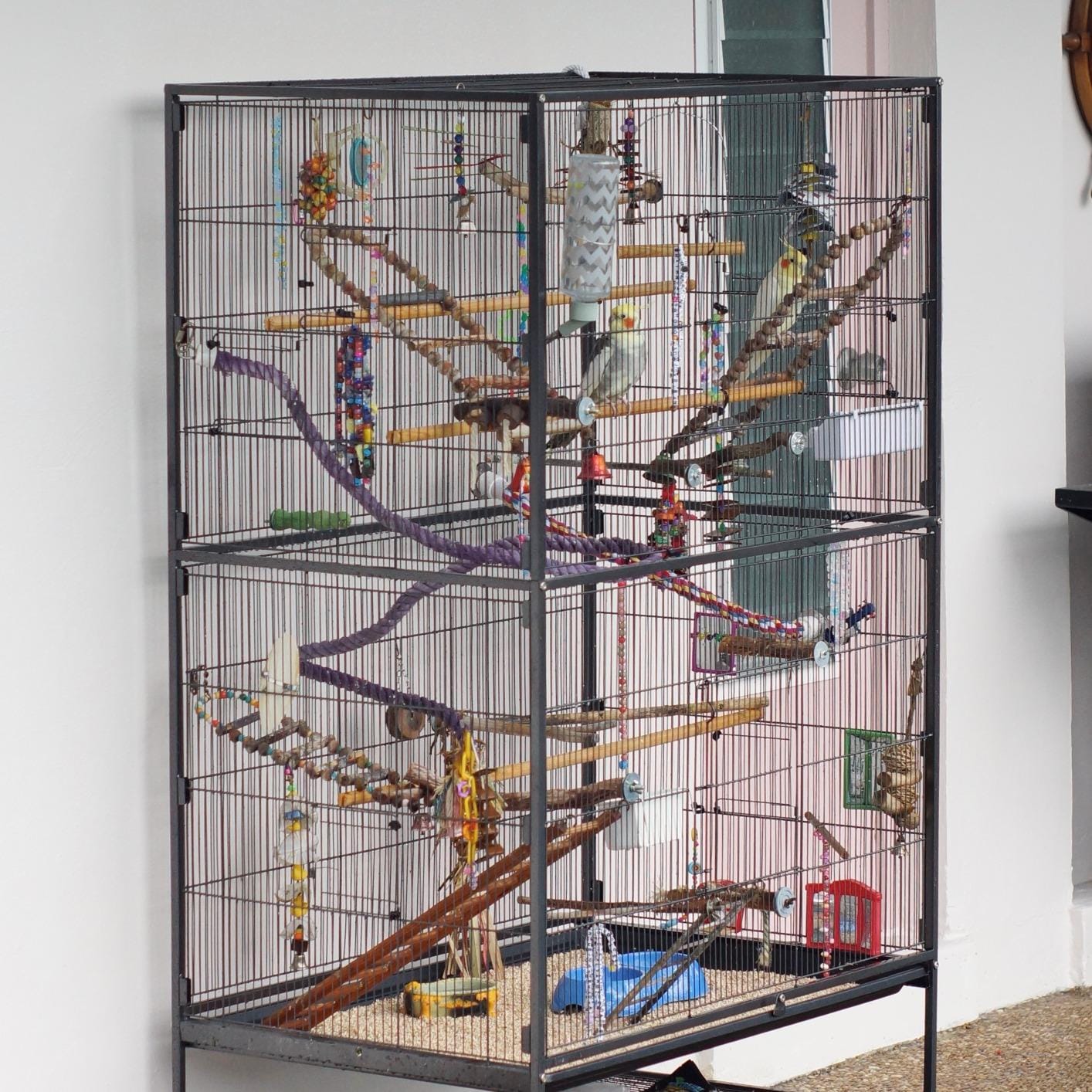 Prevue Hendryx Pet Products Wrought Iron Flight Cage - Big Rolling Bird Cage for Parakeets, Cockatiels, Conures, Lovebirds, Canaries, Finches, Parrotlets, & Caiques, 5 Ft - X-Large, Hammertone Black customer photo 1