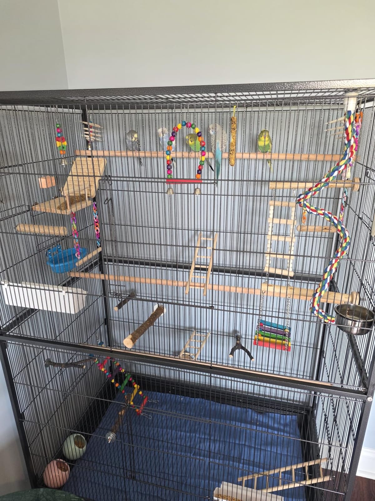 Prevue Hendryx Pet Products Wrought Iron Flight Cage - Big Rolling Bird Cage for Parakeets, Cockatiels, Conures, Lovebirds, Canaries, Finches, Parrotlets, & Caiques, 5 Ft - X-Large, Hammertone Black customer photo 2