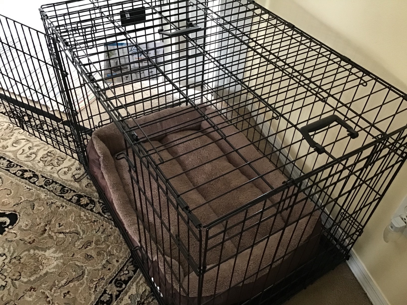 MidWest Homes for Pets 48-Inch LifeStages Crate for Extra-Large Breeds, 90-110 lbs, Double Door Folding Dog Crate with Divider Panel, Leak-Proof Tray & Secure Latch, Heavy-Duty & Easy to Assemble customer photo 1