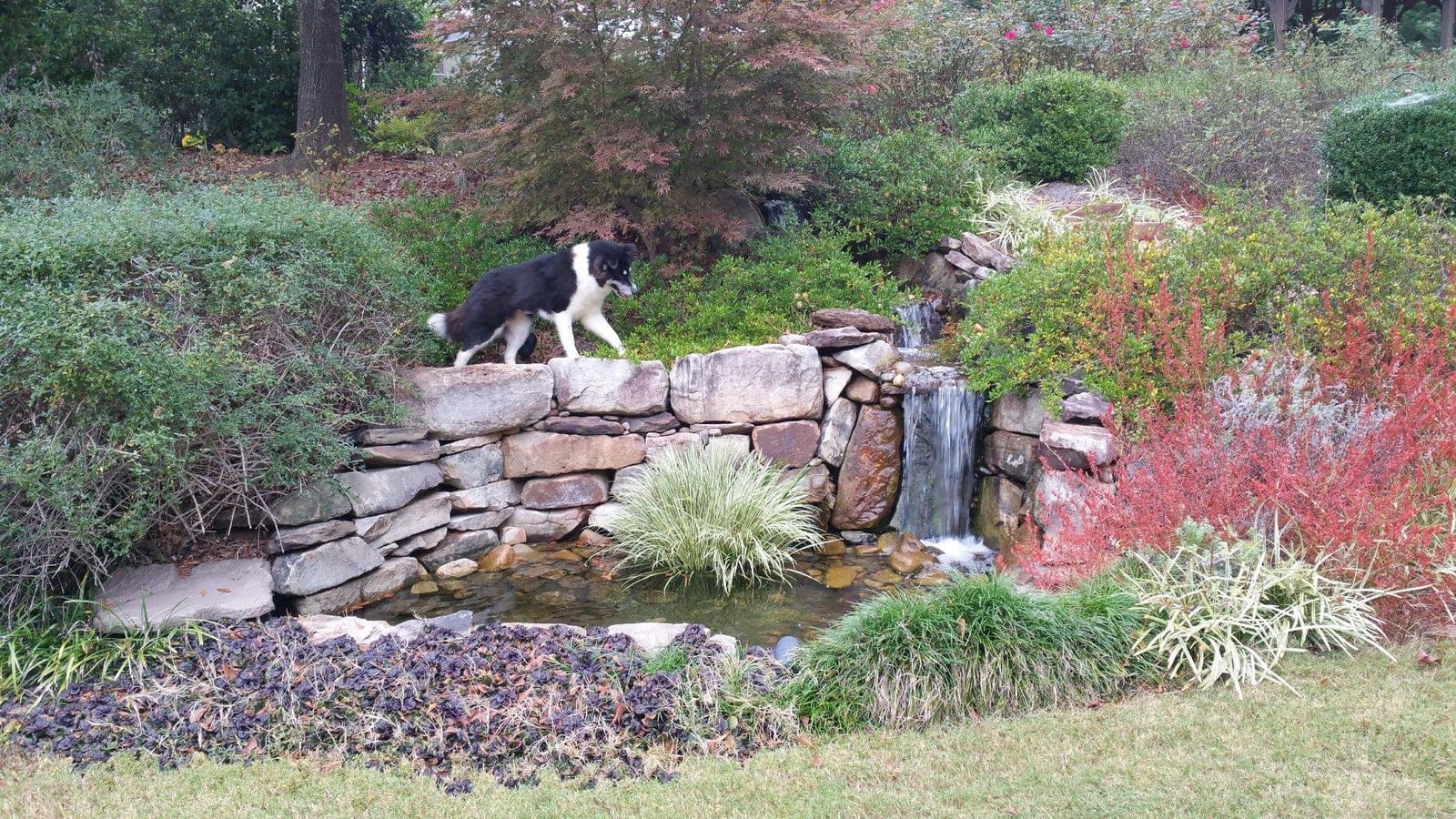 Little Giant WGP-95-PW, 115V, 4280 GPH Dual Discharge Waterfall/Pond Pump | 16' cord, Operates two water features simultaneously with the same unit, 1.25