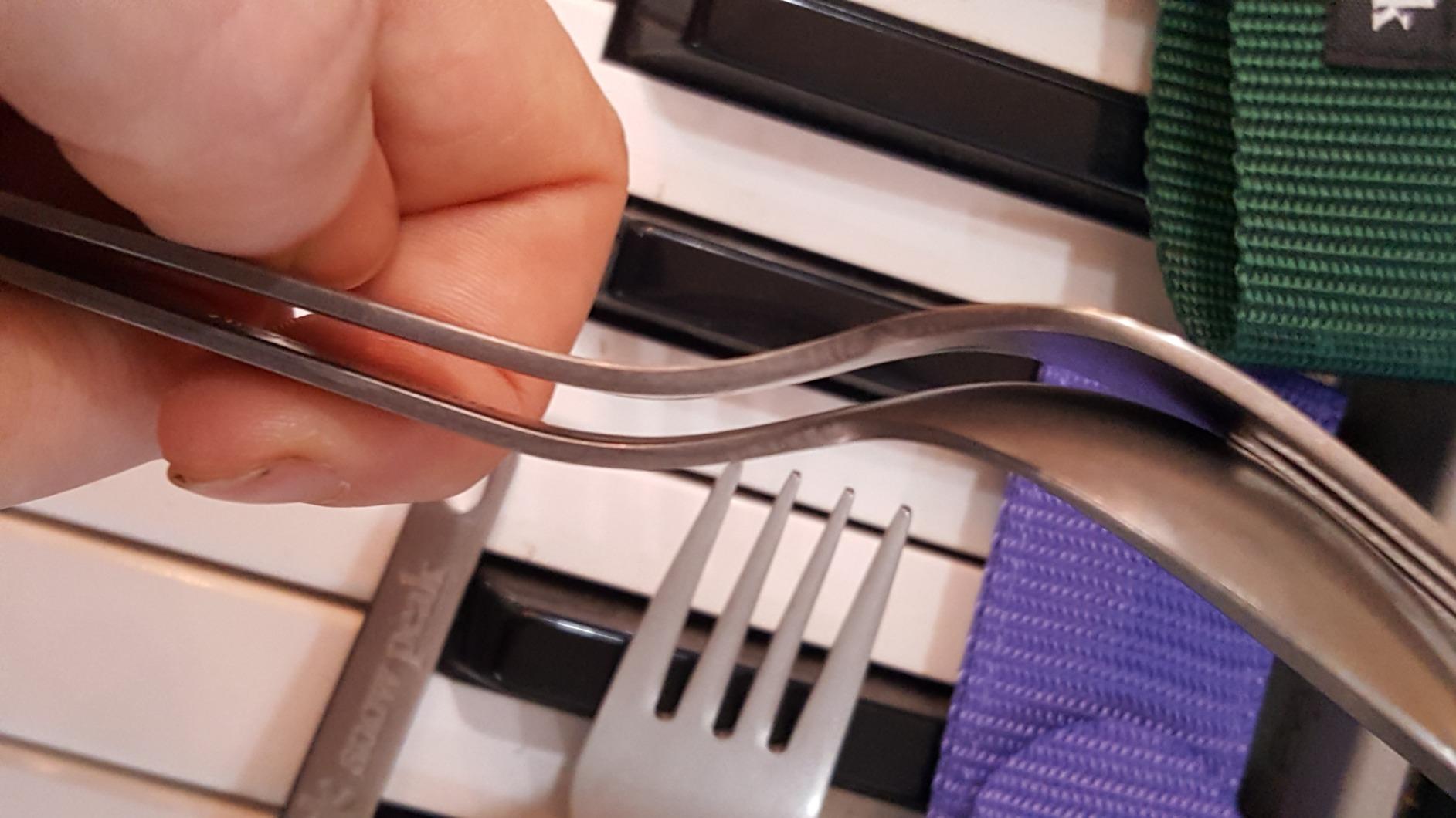 Snow Peak Titanium Fork & Spoon Set, Durable Utensils, Compact & Ultralight | Versatile use for Camping, Hiking, Backpacking and Picnics, Travel Case Included, Easy to Clean, Japanese Designed customer photo 1