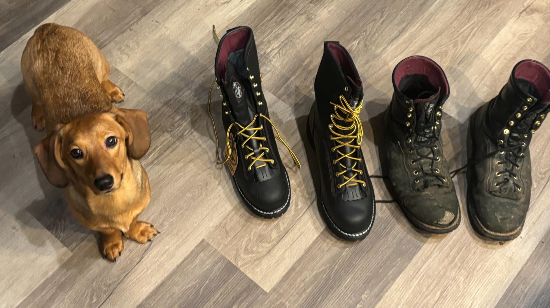 Georgia Boot Men's Low Heel Logger GORE-TEX Waterproof Insulated Work Boots customer photo 1