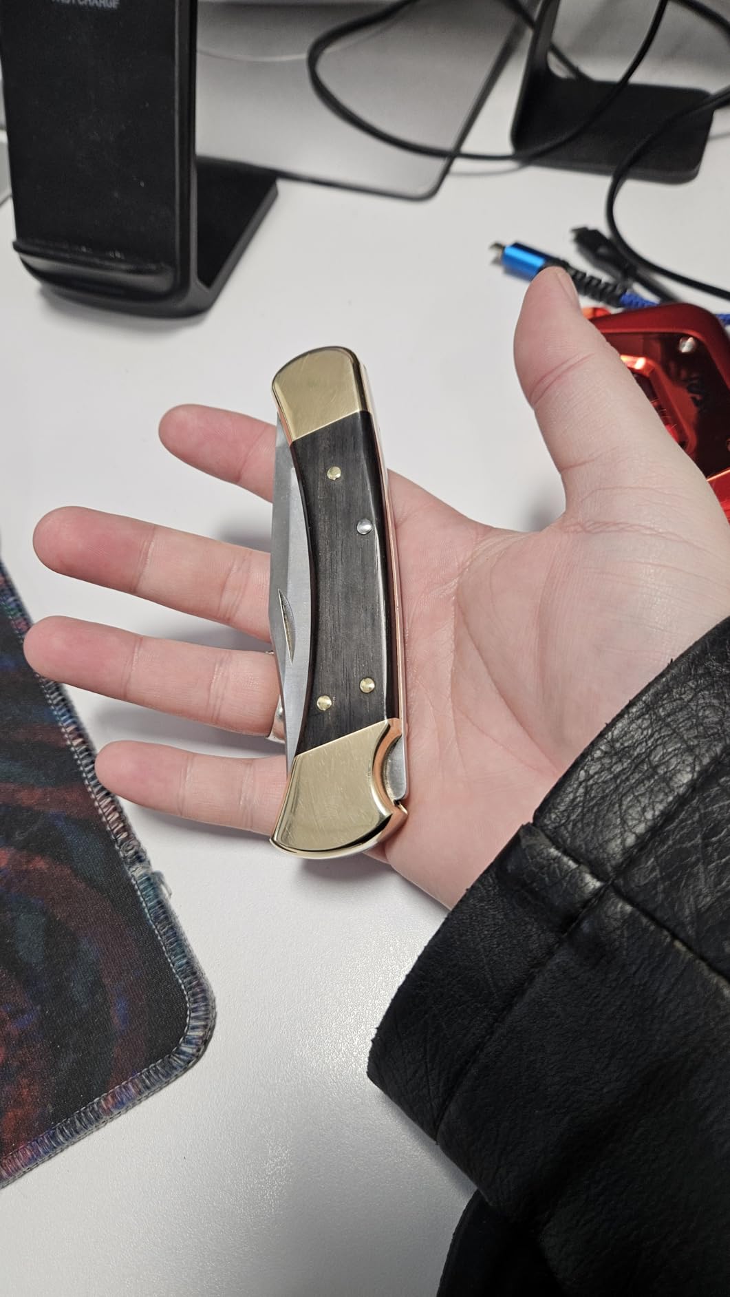 Buck Knives 110 Folding Hunter Lock-back Knife, Brass Bolsters, Ebony Handles, 3-3/4