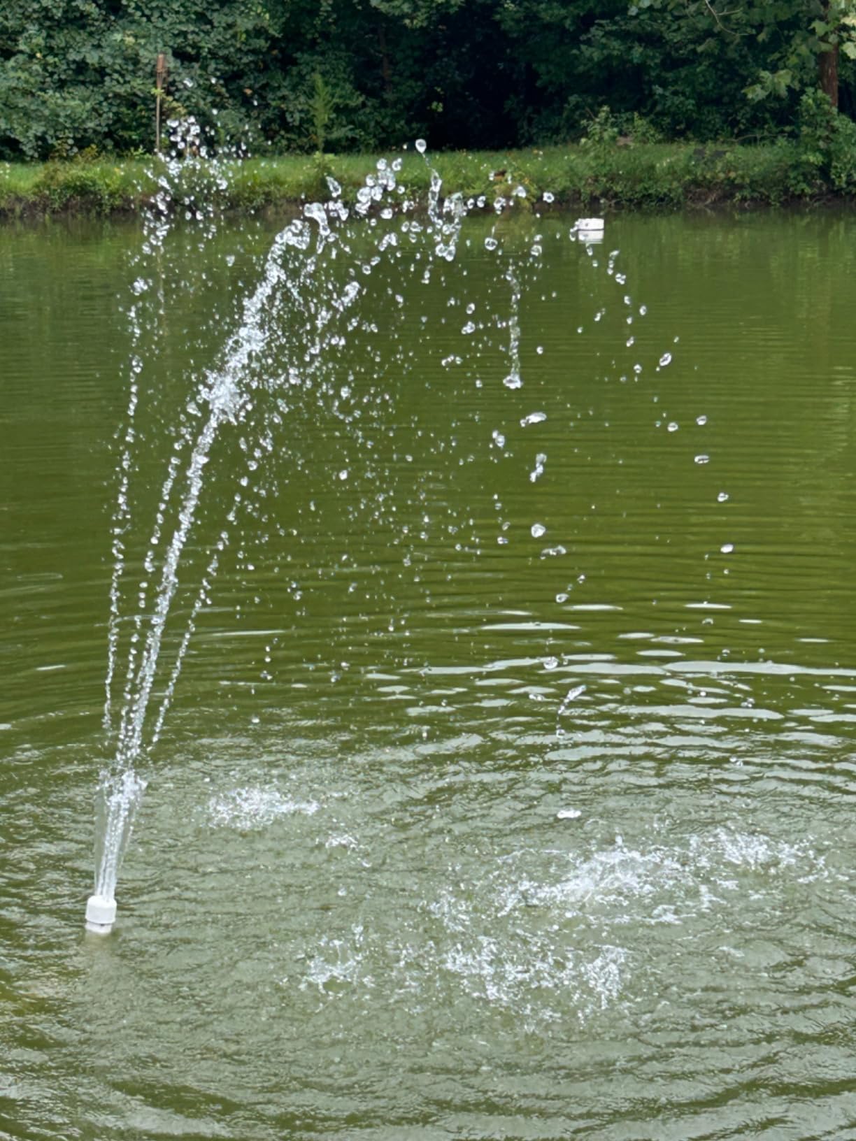 Flotec FP5172 Pump Sprinkler 1.5Hp, No Size, No Color customer photo 1